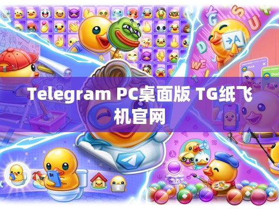 Telegram PC桌面版 TG纸飞机官网