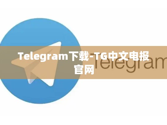 Telegram下载-TG中文电报官网