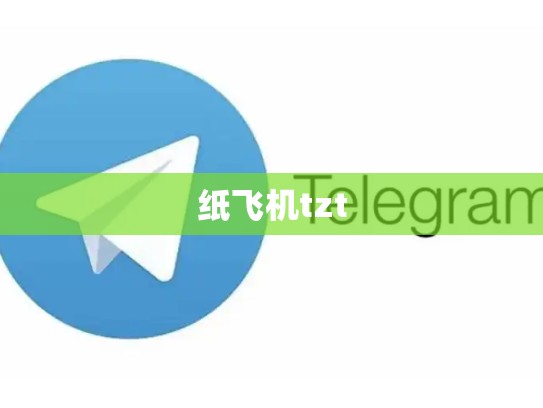 纸飞机tzt