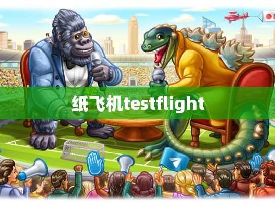 纸飞机testflight