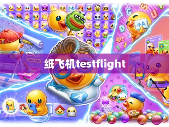 纸飞机testflight