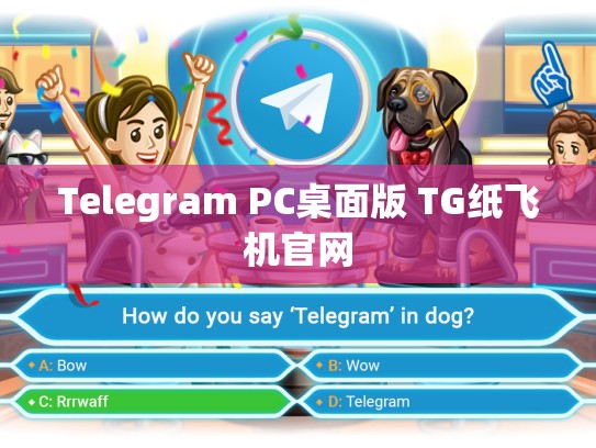 Telegram PC桌面版 TG纸飞机官网