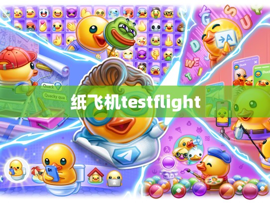 纸飞机testflight