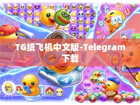 TG纸飞机中文版-Telegram下载