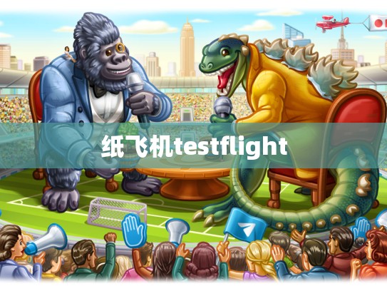纸飞机testflight