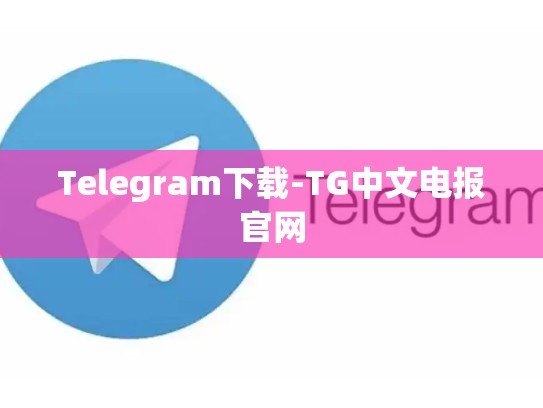 Telegram下载-TG中文电报官网