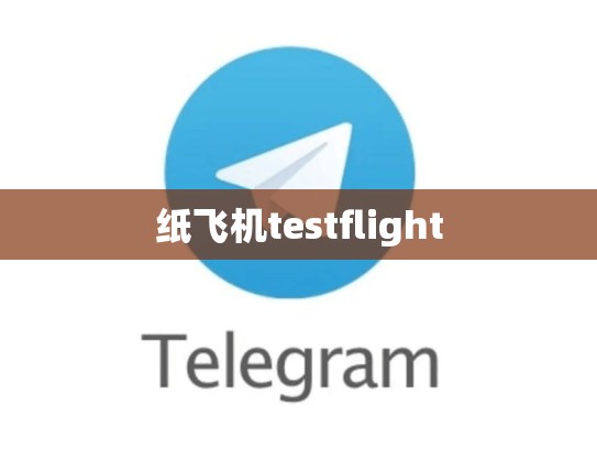 纸飞机testflight