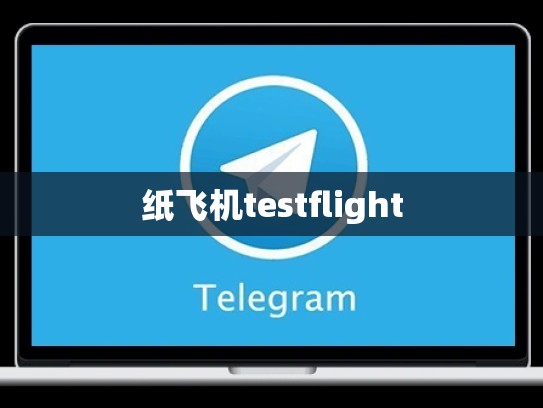 纸飞机testflight