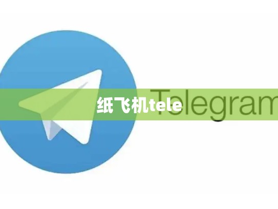 纸飞机tele