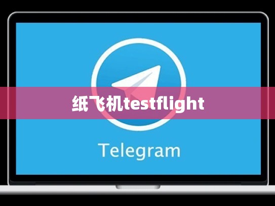 纸飞机testflight
