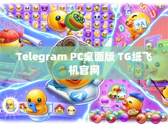Telegram PC桌面版 TG纸飞机官网
