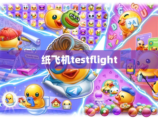 纸飞机testflight