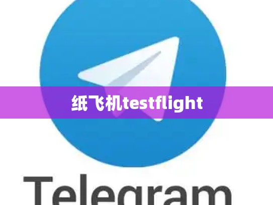 纸飞机testflight
