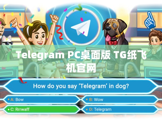 Telegram PC桌面版 TG纸飞机官网