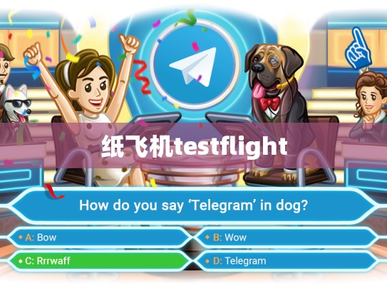 纸飞机testflight