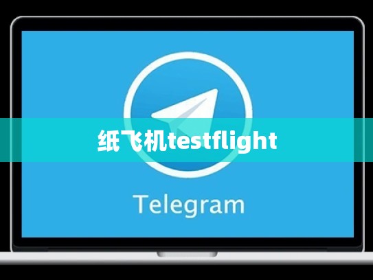 纸飞机testflight