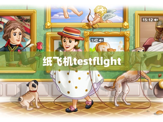 纸飞机testflight