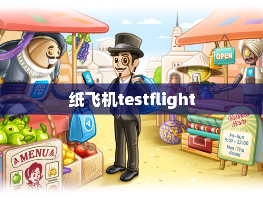 纸飞机testflight