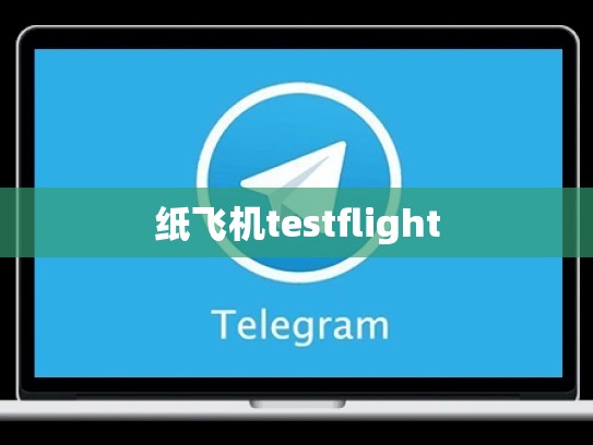 纸飞机testflight