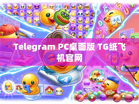 Telegram PC桌面版 TG纸飞机官网