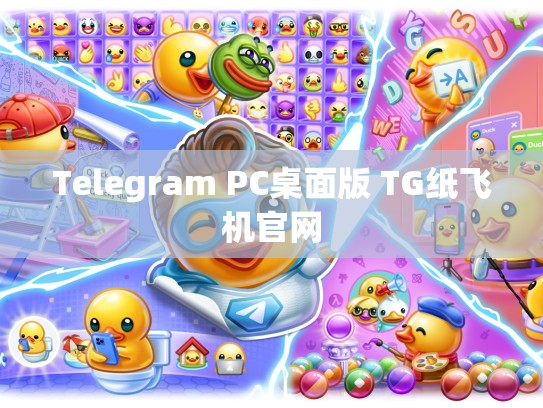 Telegram PC桌面版 TG纸飞机官网