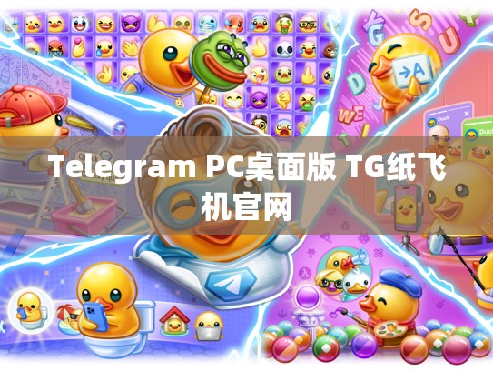 Telegram PC桌面版 TG纸飞机官网