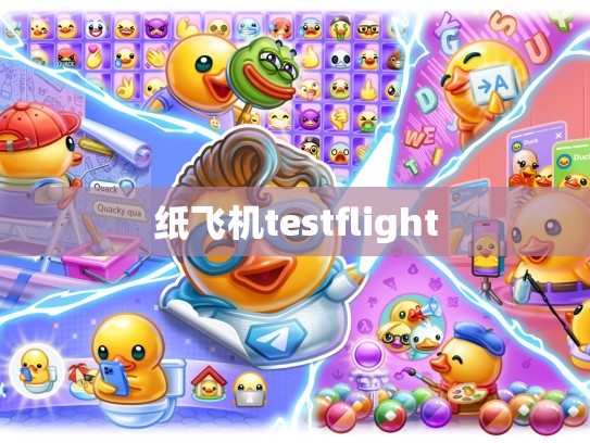 纸飞机testflight