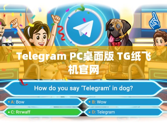 Telegram PC桌面版 TG纸飞机官网