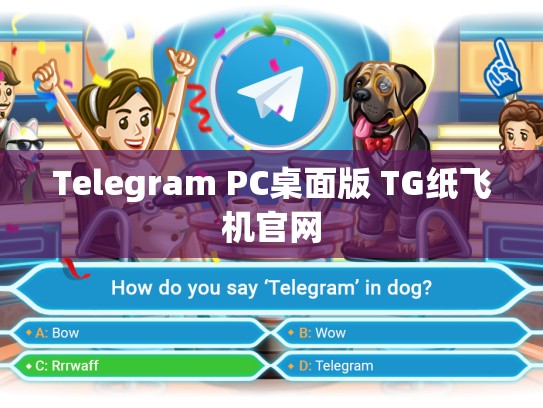 Telegram PC桌面版 TG纸飞机官网