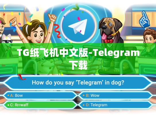 TG纸飞机中文版-Telegram下载