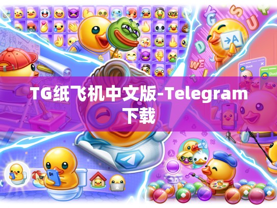 TG纸飞机中文版-Telegram下载