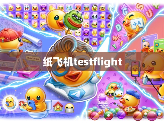 纸飞机testflight