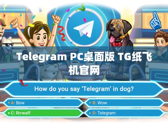 Telegram PC桌面版 TG纸飞机官网
