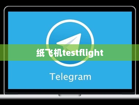 纸飞机testflight