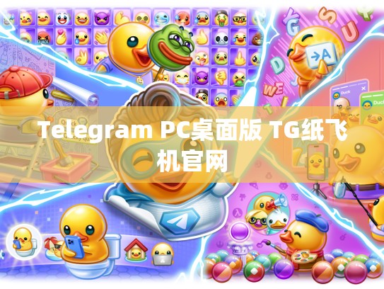 Telegram PC桌面版 TG纸飞机官网