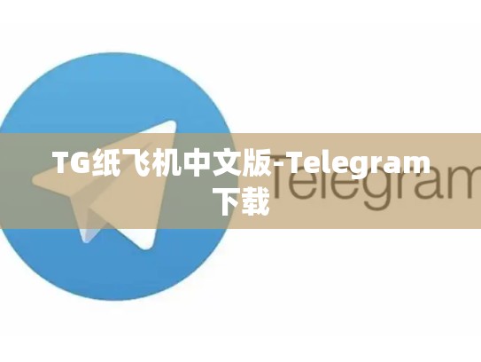 TG纸飞机中文版-Telegram下载