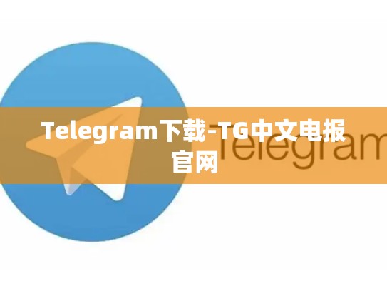 Telegram下载-TG中文电报官网