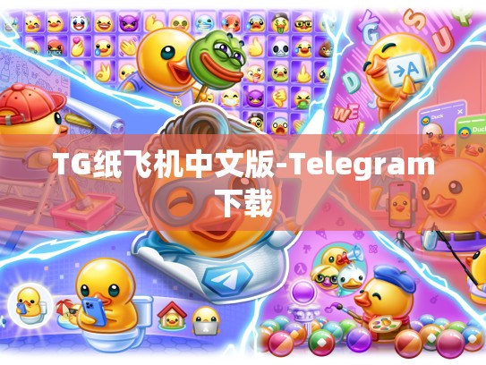 TG纸飞机中文版-Telegram下载