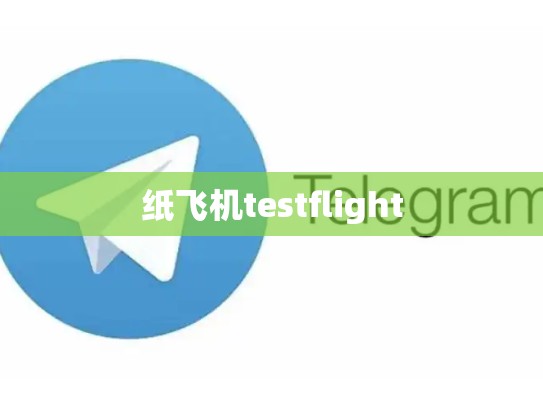 纸飞机testflight