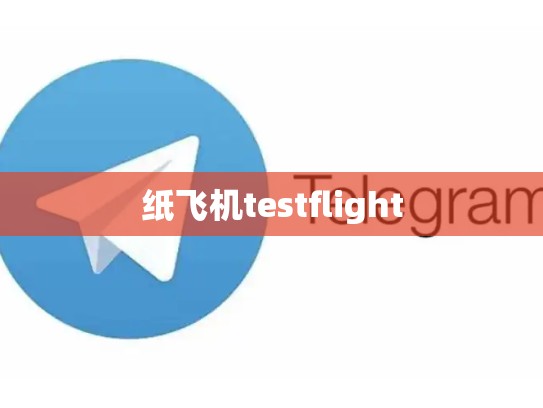 纸飞机testflight