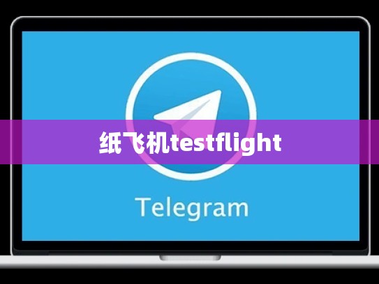 纸飞机testflight