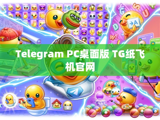 Telegram PC桌面版 TG纸飞机官网