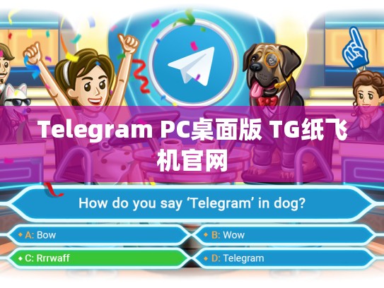 Telegram PC桌面版 TG纸飞机官网