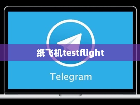 纸飞机testflight