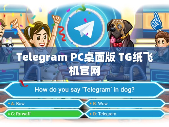 Telegram PC桌面版 TG纸飞机官网